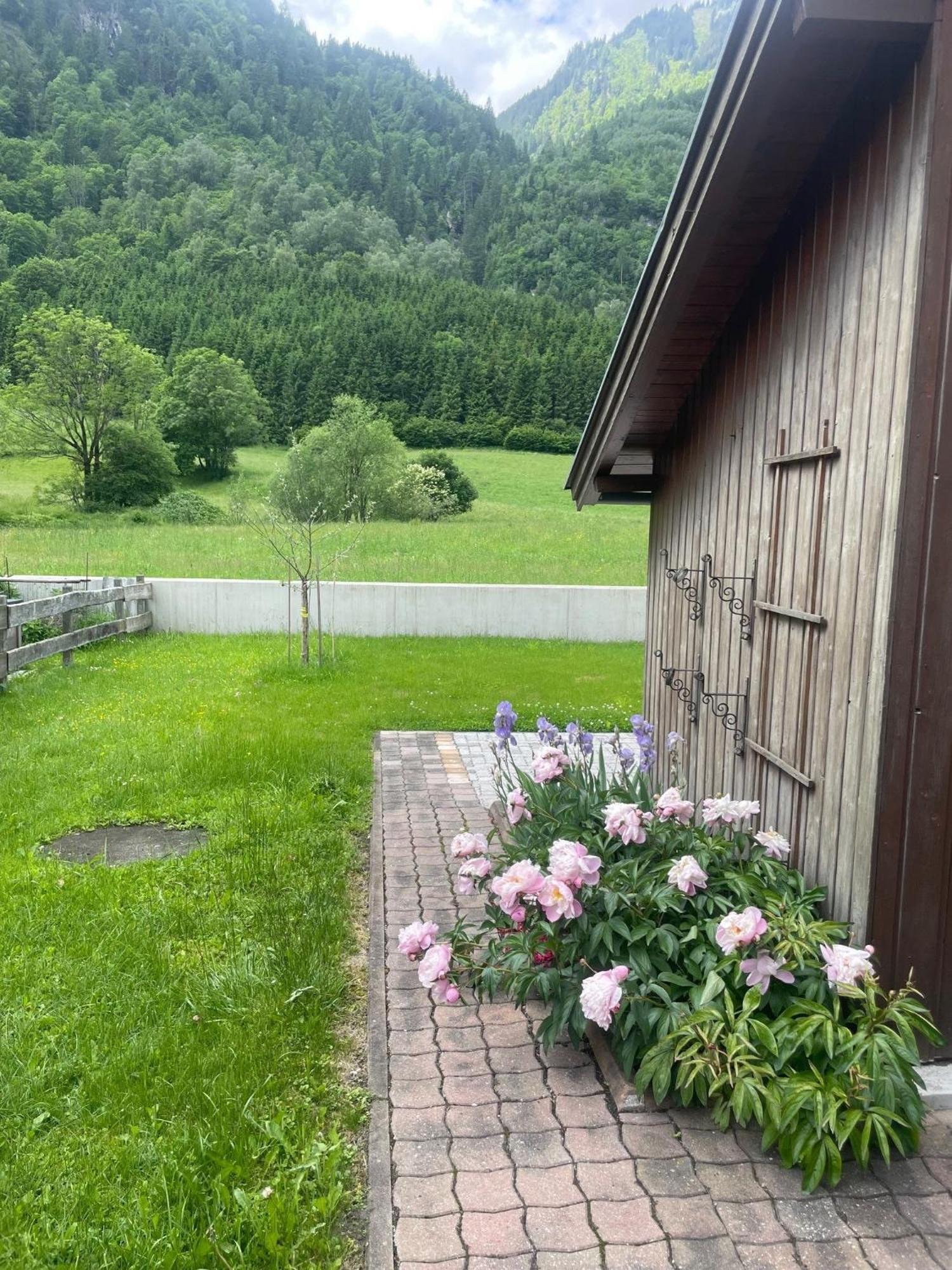 Haus Hubertus Apartment *